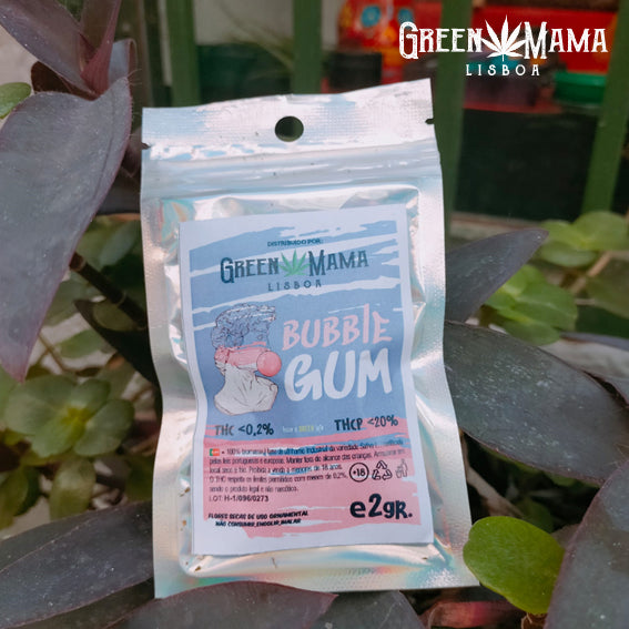 THC-P Bubble Gum - 2gr